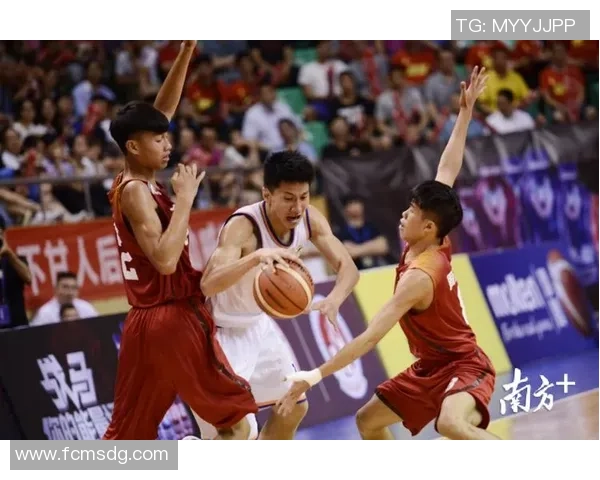 深圳篮球队引领最新篮球团队协作榜单前十名解析