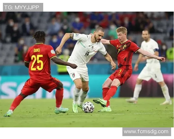 全面解析足球价格及其精美图片展示让你一目了然