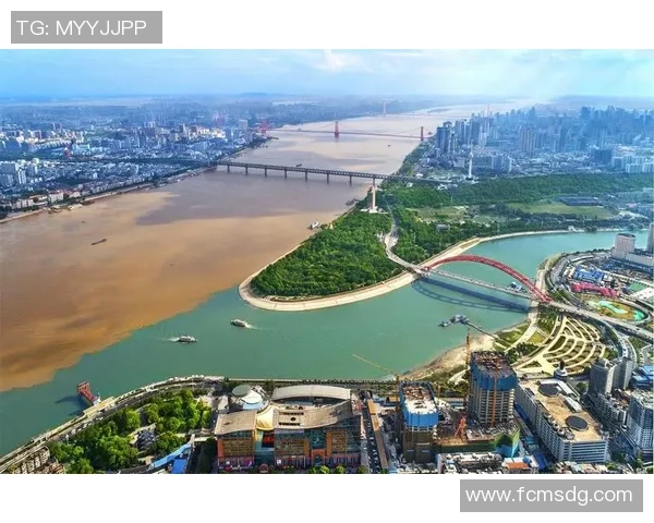 武汉滑板队的控制策略与发展现状深度解析