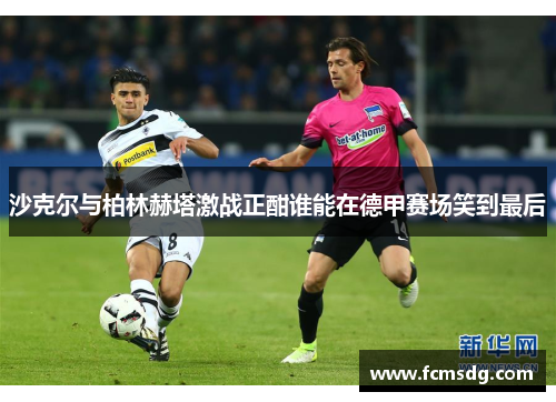 沙克尔与柏林赫塔激战正酣谁能在德甲赛场笑到最后
